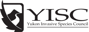 YISC Logo Oct2009