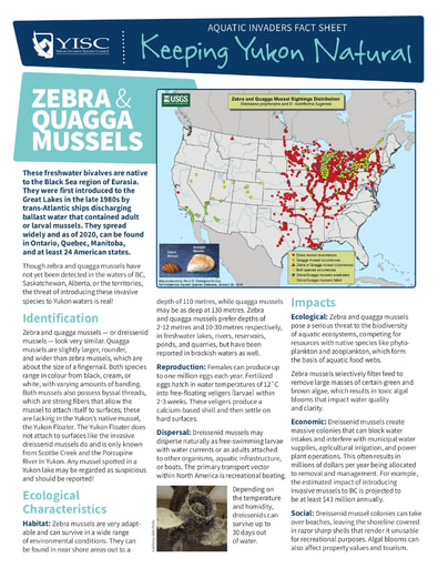 Fact sheet on Zebra and Quagga Mussels